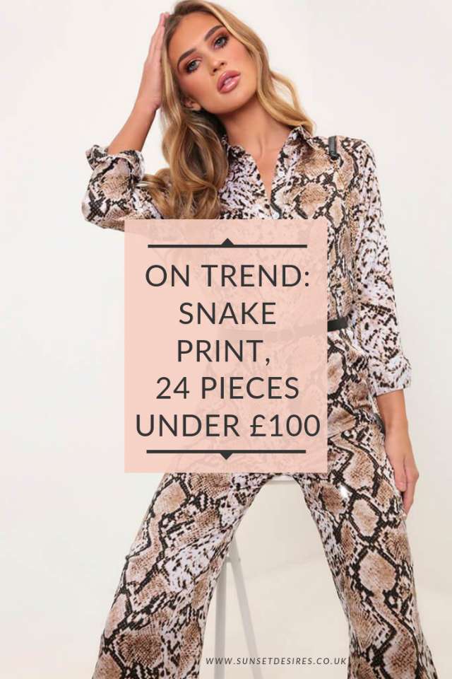 https://www.sunsetdesires.co.uk/2019/04/on-trend-snake-print-24-pieces-under-100.html